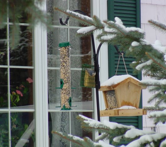 Front Feeders