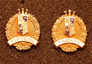 Zenith Service Pins