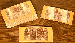 Watkins Glen Stereoview Cards