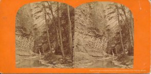 Watkins Glenn stereoview image