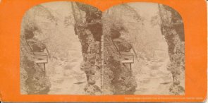 Watkins Glenn stereoview image