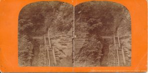 Watkins Glenn stereoview image