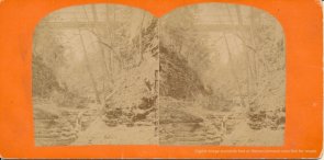Watkins Glenn stereoview image