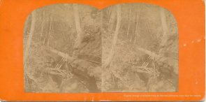 Watkins Glenn stereoview image